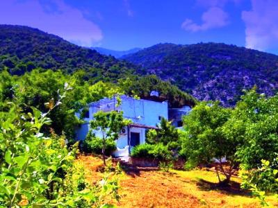 Mariva Bungalows Hotel Samothraki Exterior photo